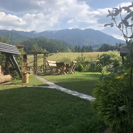 Lodge Hot Tub Chalet Retreat Brasov